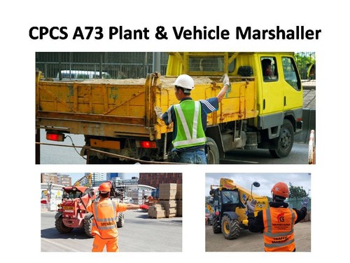 Cpcs a73 plant - a73,